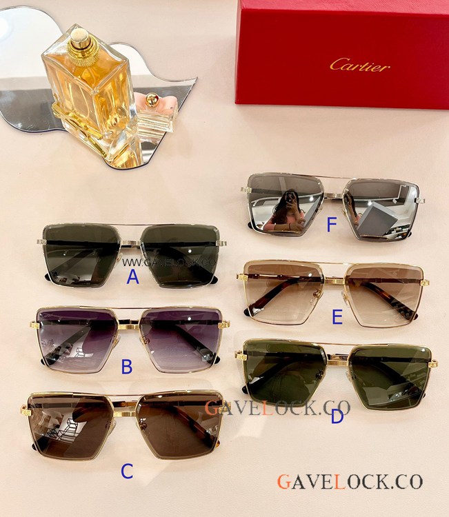 Santos de Cartier Sunglasses CT0390 Silver Fading lenses